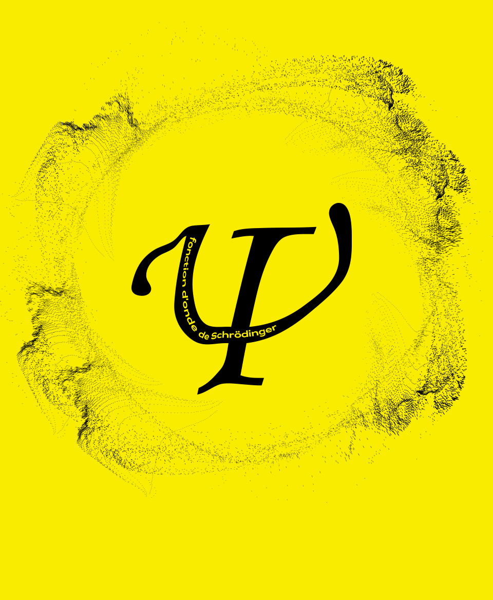 T-shirt Formule Scientifique : Fonction d'onde de Schrödinger