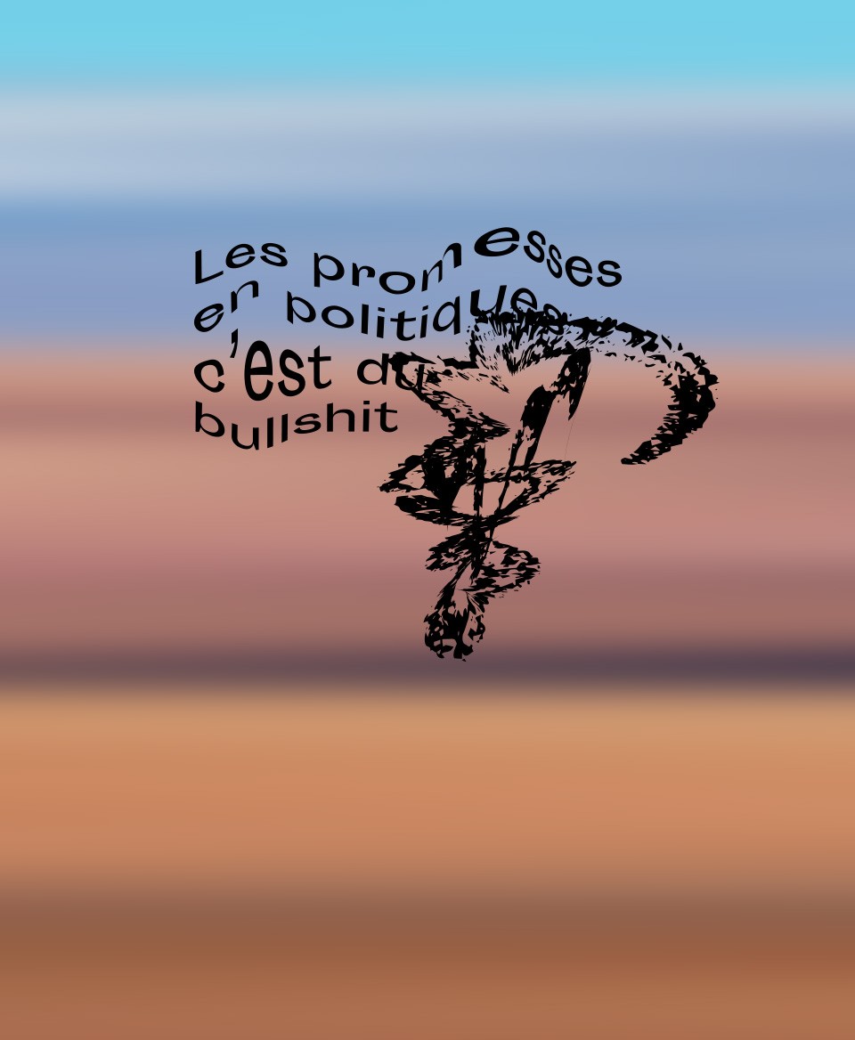 T-shirt #Bullshit: Les promesses en politique c'est du bullshit