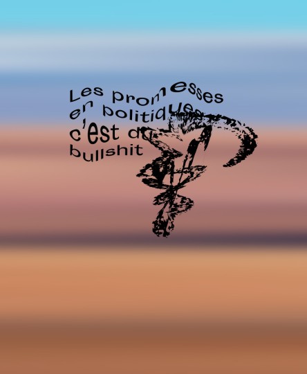 T-shirt #Bullshit : Les promesses en politique c