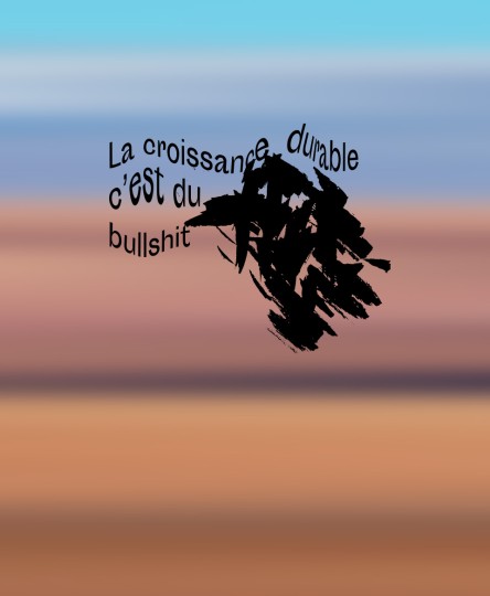 T-shirt #Bullshit : La croissance durable c