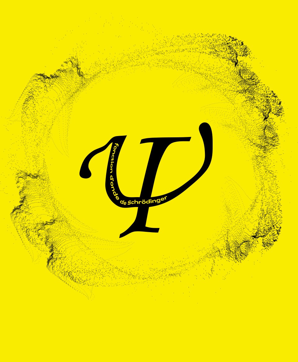 T-shirt Formule Scientifique : Fonction d'onde de Schrödinger