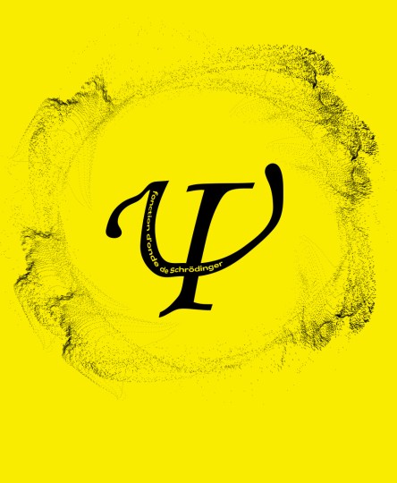 T-shirt Formule Scientifique : Fonction d